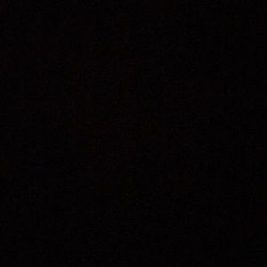 Meet your Posher, Gizelle